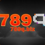 789q biz Profile Picture