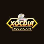 Xóc Đĩa online Profile Picture