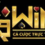 K9win llc Profile Picture