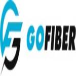 gofiber vn Profile Picture