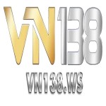 VN138 Profile Picture