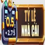 Tỷ Lệ Nhà Cái Profile Picture