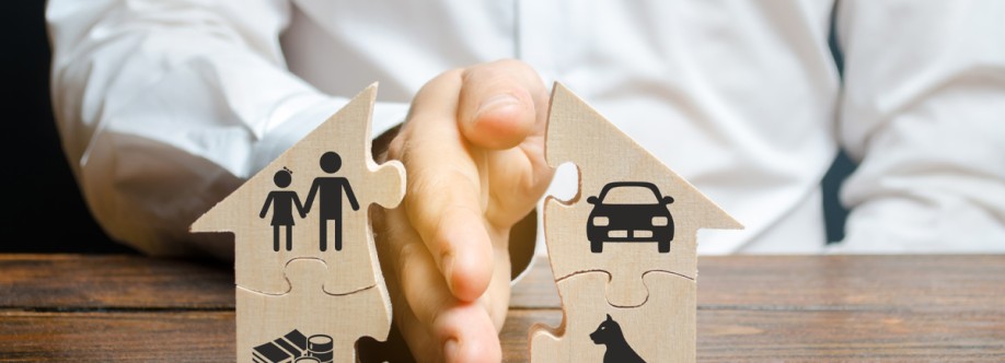 Singapore Sole Cover Image