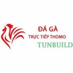 Đá Gà Trực Tiếp Thomo Profile Picture