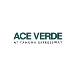 Ace Verde Profile Picture