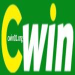 cwin01 org Profile Picture