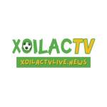 Xôi Lạc TV Live Profile Picture
