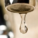 Randy Lewis Profile Picture