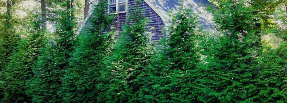 JMar Landscaping Inc Cover Image