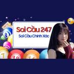 Soicau247 Me Profile Picture