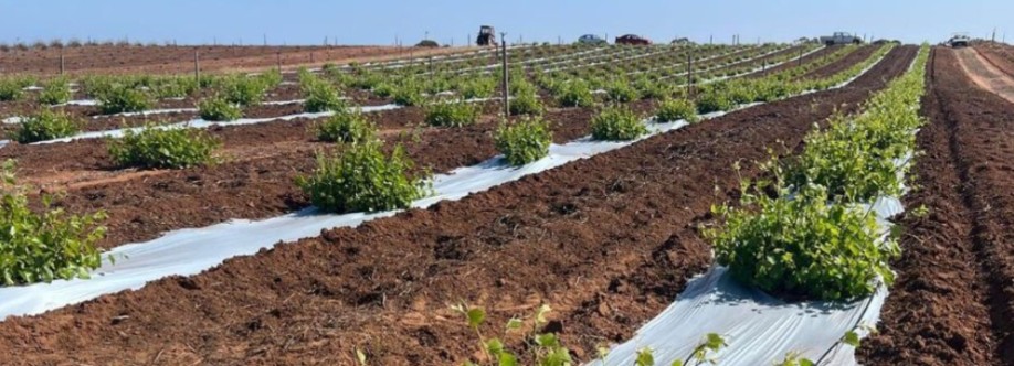 Bio Agri Cover Image