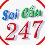 Soi cầu 247 Profile Picture