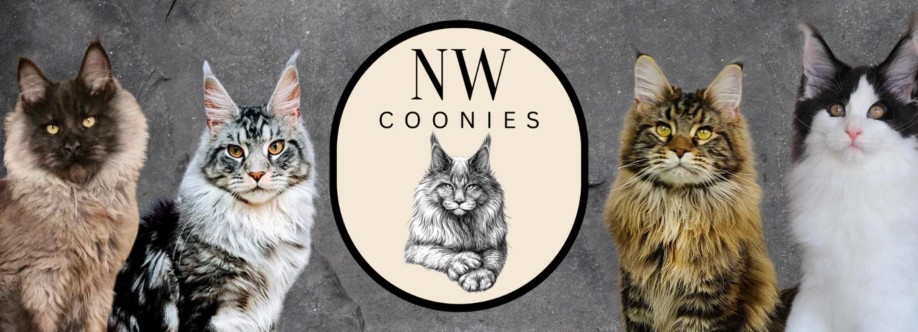 NW Coonies Cover Image