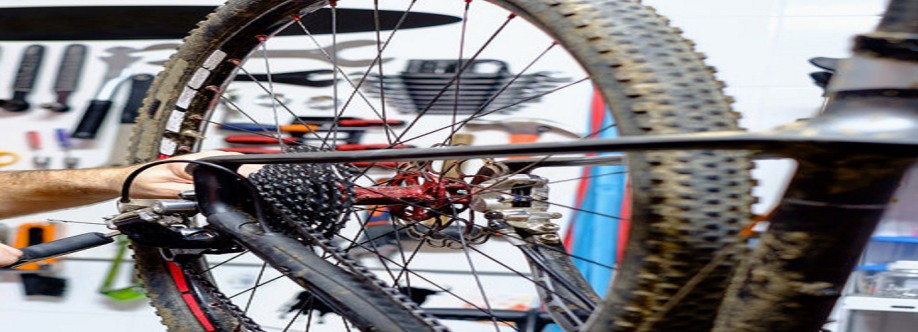 The Bike Rack Cover Image