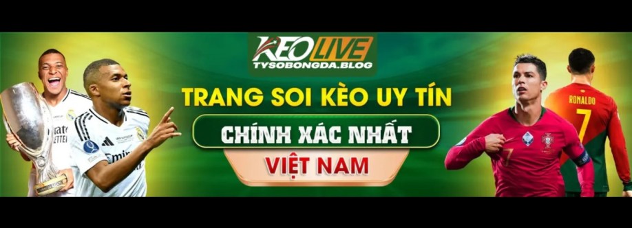 Tysobongda blog Cover Image