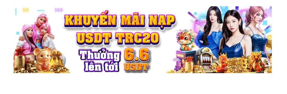 S666 NETVN Cover Image