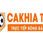 Cà Khịa Profile Picture