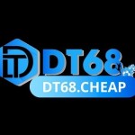 DT68 cheap Profile Picture