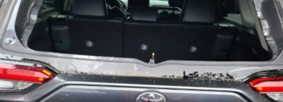 Viper Legendary Auto Glass Windshield Repair Winnipeg Cover Image