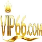 Vip66 fyi fyi Profile Picture