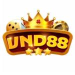 VND88 Profile Picture