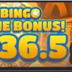 juanbingo Profile Picture