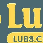 Thể Thao LU88 Profile Picture