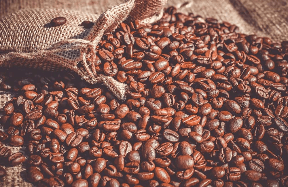 Coffee Arabica Oil CO2 – Manufacturer, Supplier & Exporter