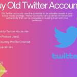 Buy Old Twitter Accounts Profile Picture