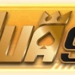 vua99cool vua99cool Profile Picture