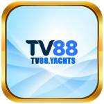 tv88 yachts Profile Picture