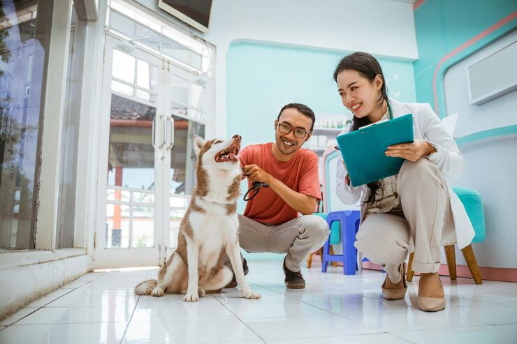 Pet Home Care Services in New York City: Comfort, Care, and Companionship at Home - JustPaste.it