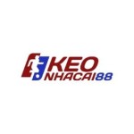 Kèo Nhà Cái Profile Picture
