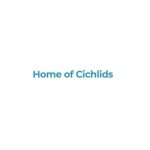 Home of Cichlids Profile Picture