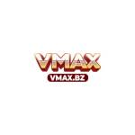 Vmax bzmax Profile Picture