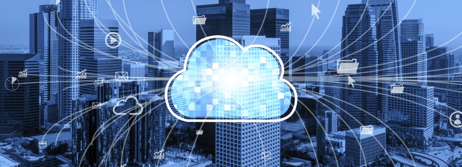 Haya Solutions Cover Image