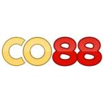 co88diy Profile Picture