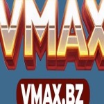 vmax bz Profile Picture