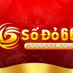sodo66 e Profile Picture