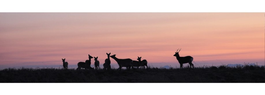 Struktur Baja BMB Steel Cover Image