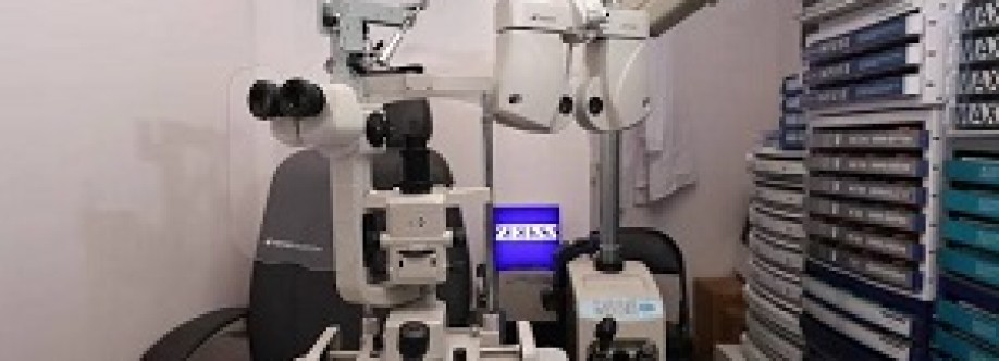 Hudson River Vision Cover Image