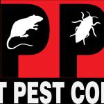 Byron Katz Profile Picture