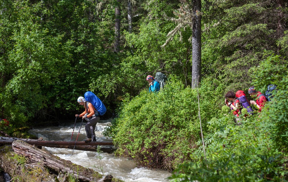 RV Places Near Albuquerque, NM with Full Hookups