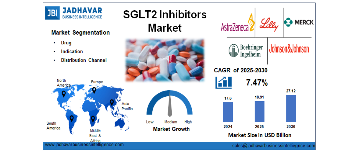 SGLT2 Inhibitors Market Size, Trends, Growth Report (2030) | Jadhavar Business Intelligence