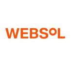 Websol Energy System Ltd Profile Picture